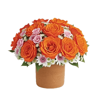 Petal Radiance Bliss