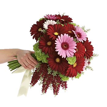 Delicate Petal Cascade