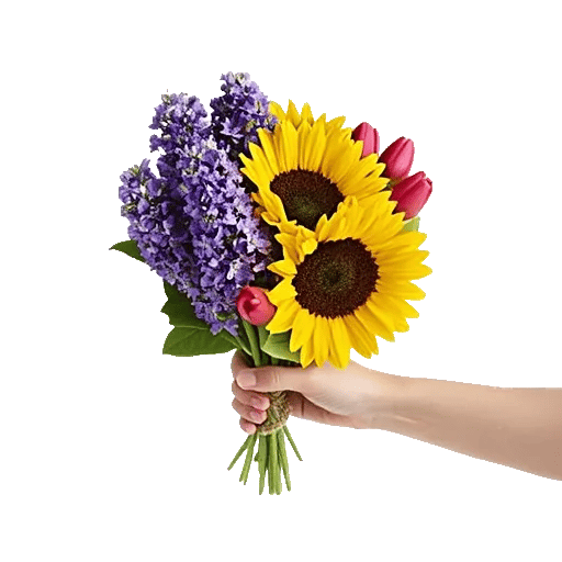 Blossom Harmony Display