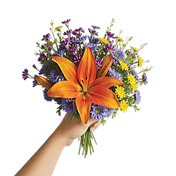 Petal Radiance Bliss