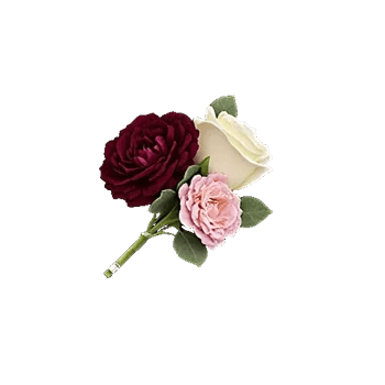 Delicate Petal Cascade