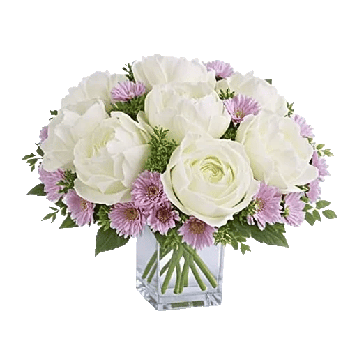 Petal Radiance Bliss