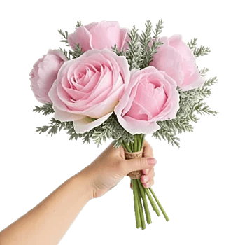Pastel Pink Roses