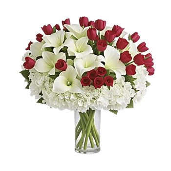 Elegant Calla Lilies