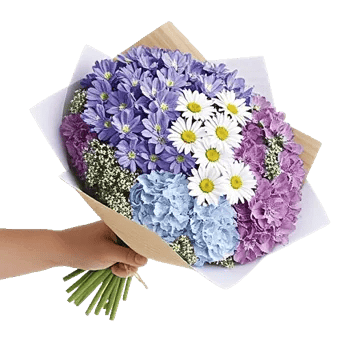 Pastel Blossom Grace