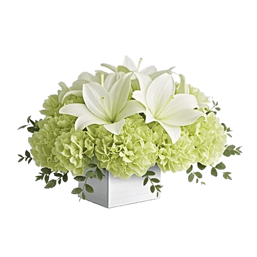 Graceful Lily Display