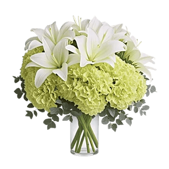 Ivory Blossom Radiance