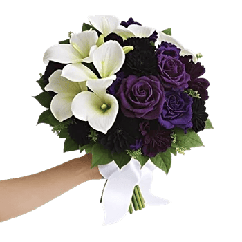 Delicate Petal Cascade