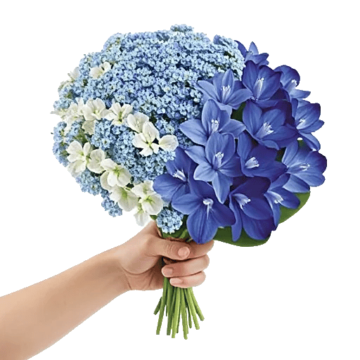 Elegant Blue Roses
