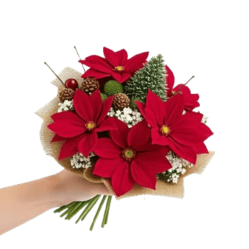 Crimson Rose Elegance