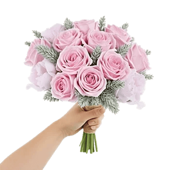 Pastel Pink Roses