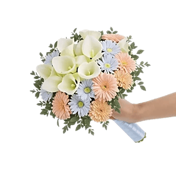 Elegant Calla Lilies