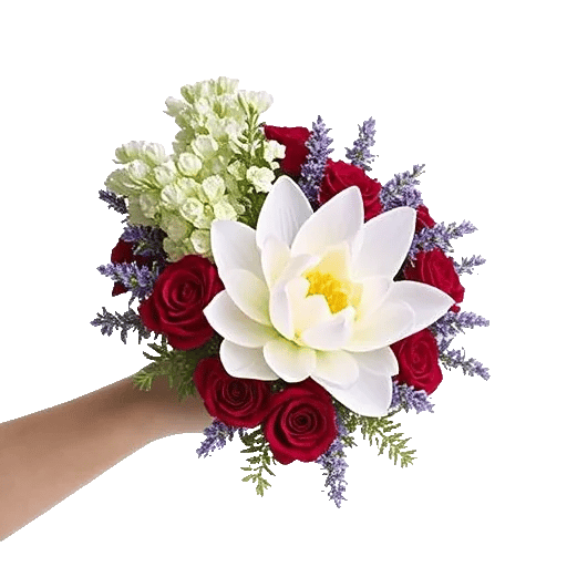 Serenity Orchid Bloom