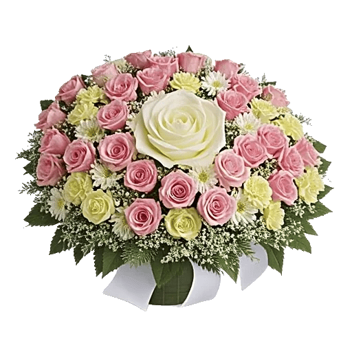 Radiant Rose Symphony