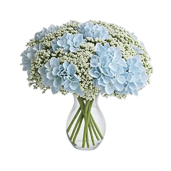 Ivory Blossom Radiance