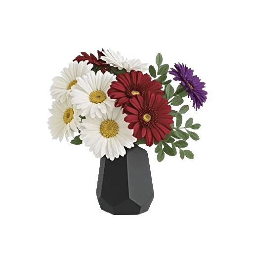 Modern White Orchids