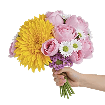 Golden Petal Harmony