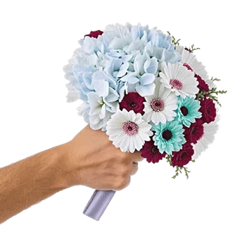 Serene Garden Harmony