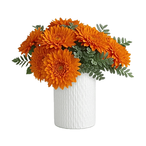 Vibrant Orange Delight