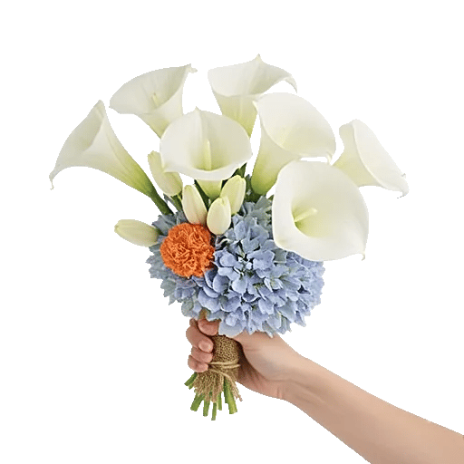 Elegant Calla Lilies