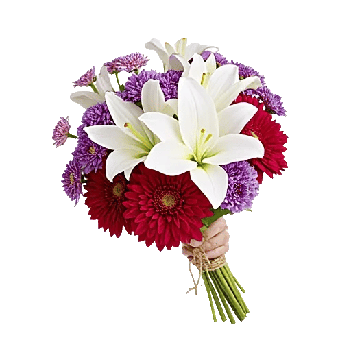 Blossom Harmony Display