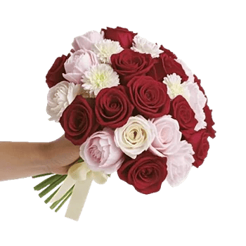 Crimson Rose Elegance