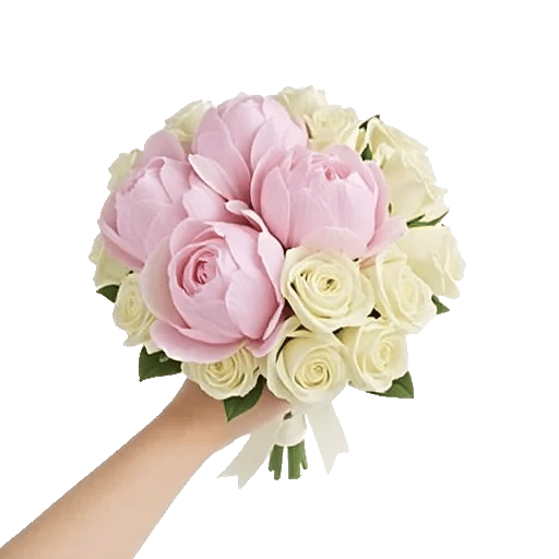 Peony Petal Harmony