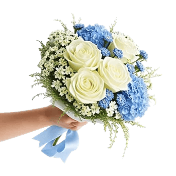 Serene Petal Harmony