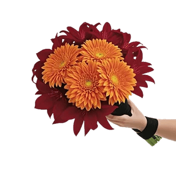 Silken Petal Array