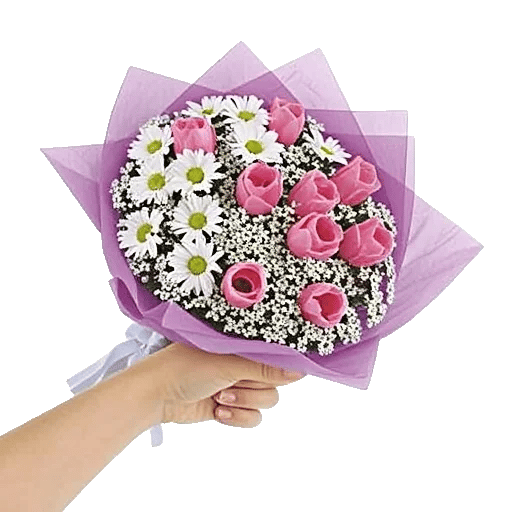 Blossom Petal Serenity