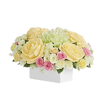 Delicate Petal Cascade