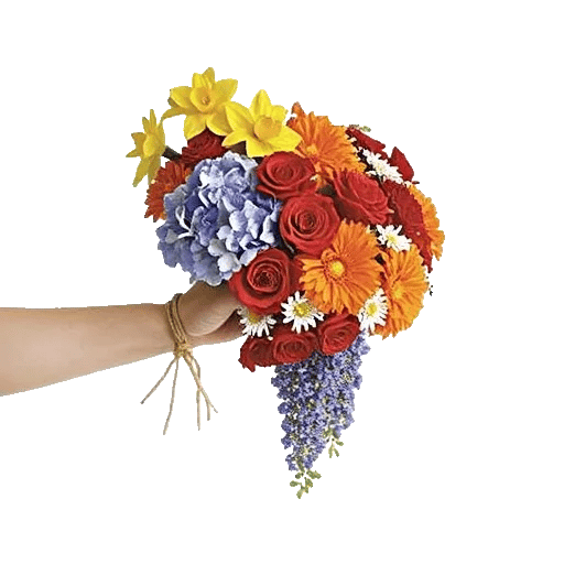 Ivory Blossom Radiance