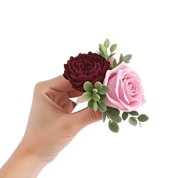 Plum Blossom Radiance