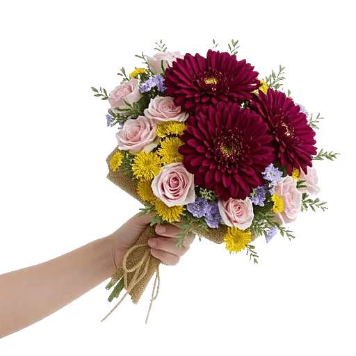 Plum Blossom Radiance