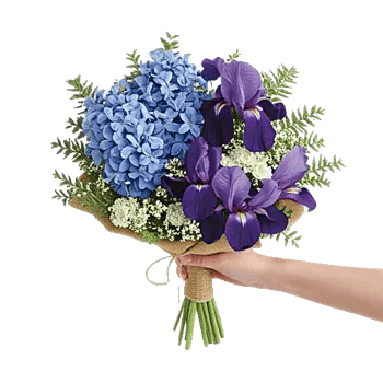 Serenity Blossom Grace