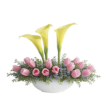 Elegant Calla Lilies
