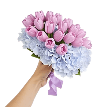 Pastel Blossom Grace