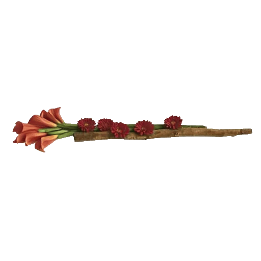 Elegant Calla Lilies