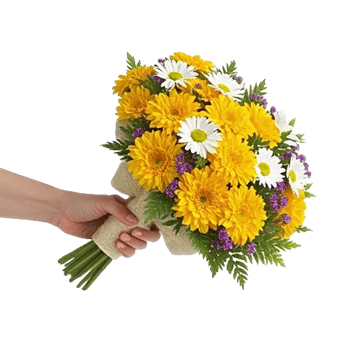Golden Petal Harmony