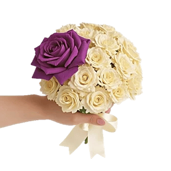 Pastel Pink Roses