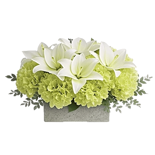 Graceful Lily Display