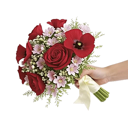 Blushing Rose Symphony