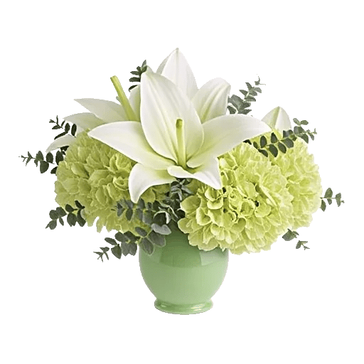 Serene Lily Cascade
