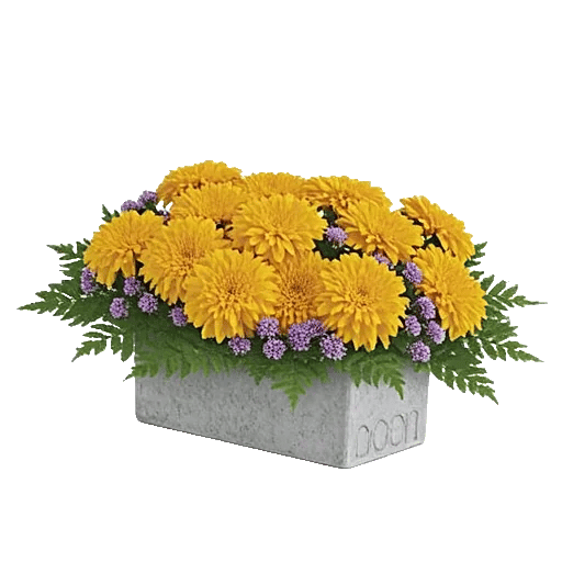 Golden Petal Harmony