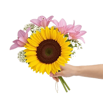 Twinkling Sunflower Dance