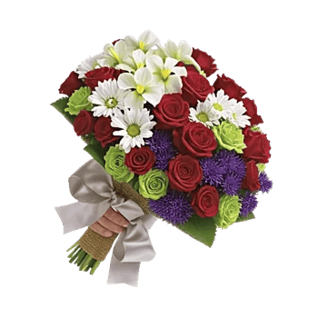 Ivory Garden Grace