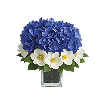 Sapphire Bloom Whisper