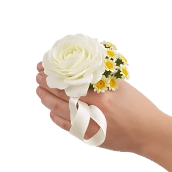 Delicate Petal Cascade