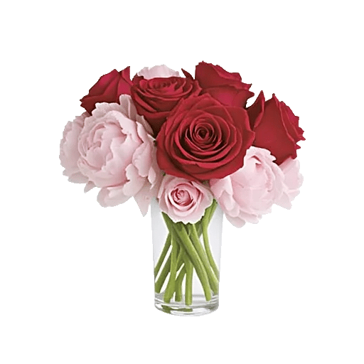 Crimson Rose Elegance