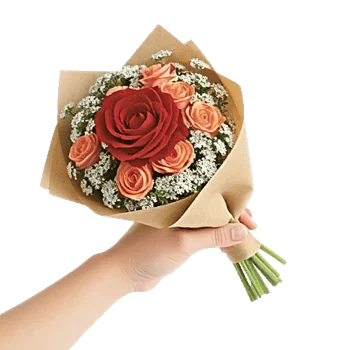 Crimson Rose Elegance